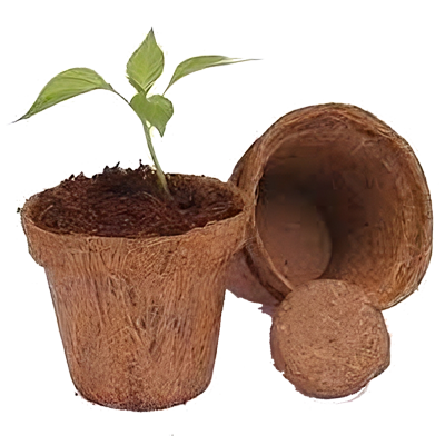 Coir Pots